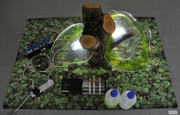 Anne-Mie Melis, Prototype for a New Niche for Nature, module IV, Closed artificial pump system, perspex, tree trunk, plastic tubing, plastic container, coloured liquid, peristaltic pump, 2016