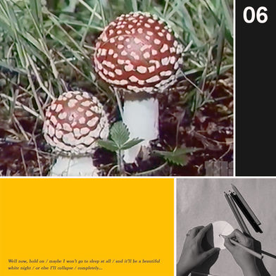 Image/ Llun: See bulletin/ gweld y bwletin. Image/ Llun: See bulletin/ gweld y bwletin.