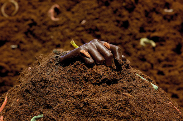 Heaven In The Ground, Liverpool Biennale 2025. Image // Deledd: Stuart Whipps