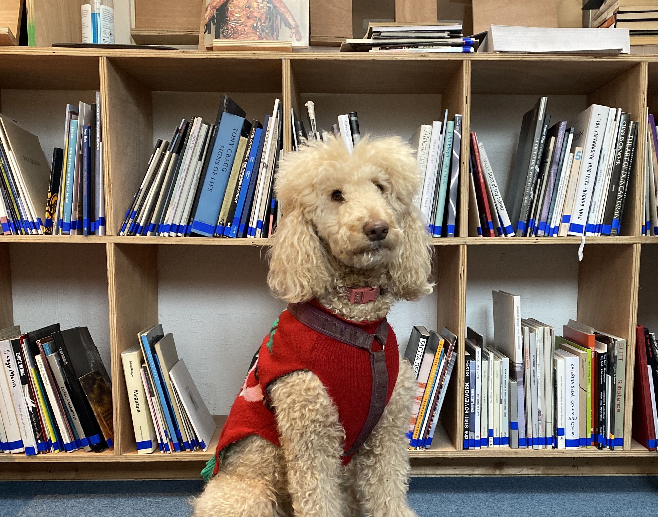 Working Party: Library