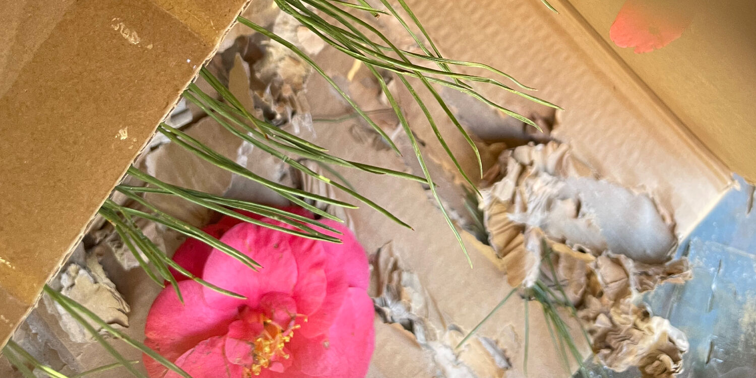 Workshop: Flat Pack Forest with Abi Palmer