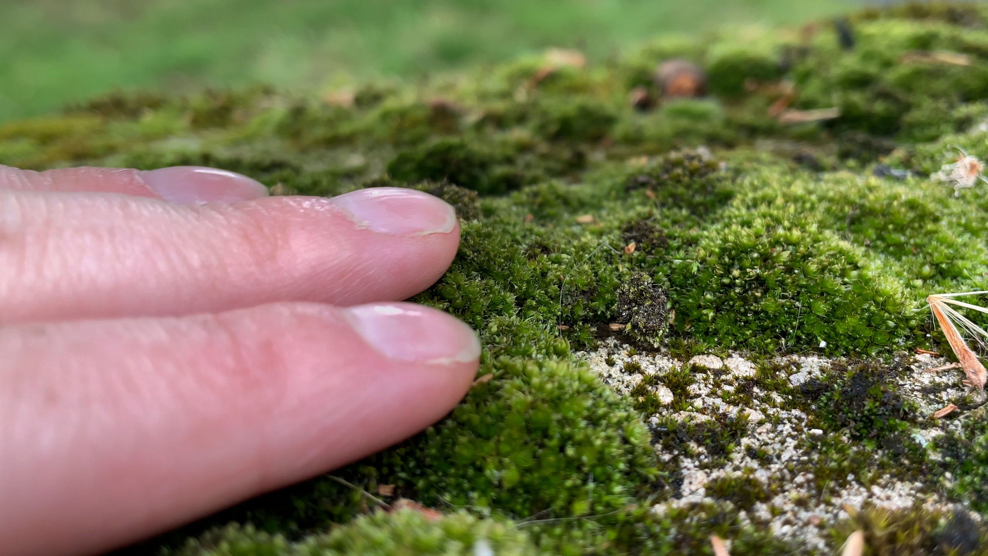 Artist Discussion: Abi Palmer and Bryony Ella