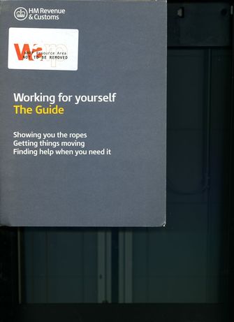 Working for Yourself; The Guide-large