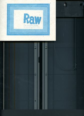 Raw; The People`s Guide to Contemporary Art-large