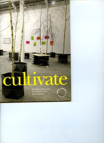 Cultivate; Developing the Visual Arts Market in the West Midlands-large