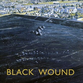 Black Wound - Aln Evans-large