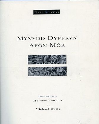 Mynydd Dyffryn: Afon Mor-large