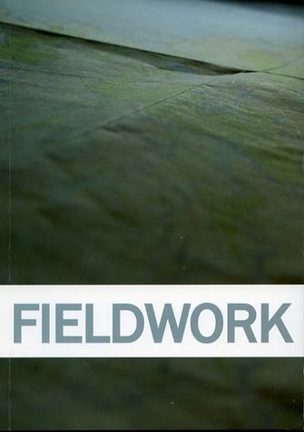 Fieldwork-large