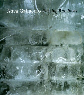 Anya Gallaccio: Chasing Rainbows-large