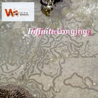 Infinite Longing-large