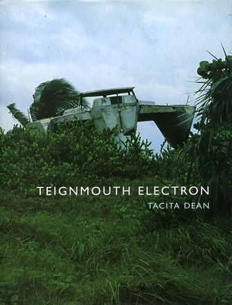 Teignmouth Electron -large