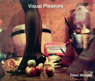 Visual Pleasure-large