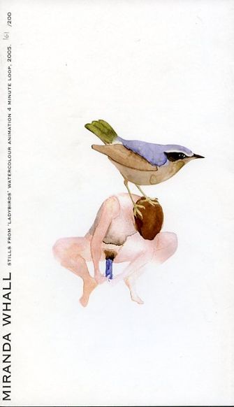 Miranda Whall: Stills from `ladybirds`-large