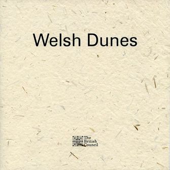 Welsh Dunes-large