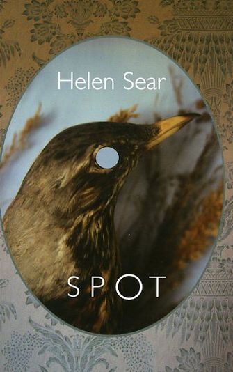 Helen Sear: Spot-large