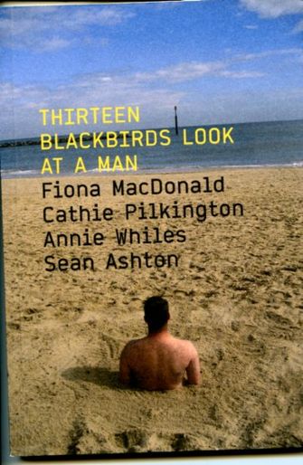 Thirteen Blackbirds look at a Man-large