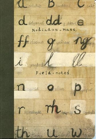 Nodiadau - maes. Field - notes-large