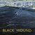 Black Wound - Aln Evans-thumb