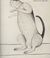 Louise Bourgeois: Selected Prints 1989-2005-thumb
